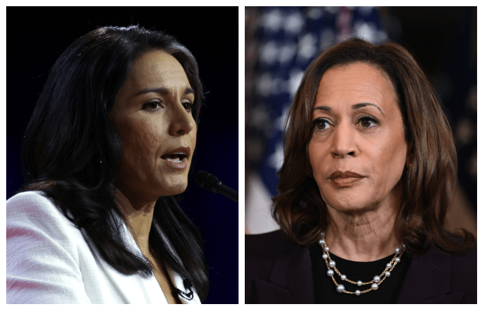 Trump Adds Tulsi Gabbard To His Team In Move That Should Worry Harris ...