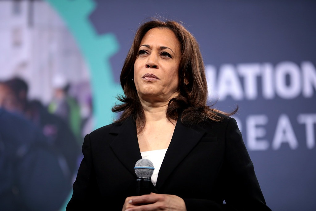 Final Vote Tally In Swing State Another Humiliation For Harris USA Journal