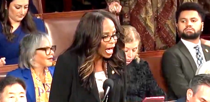 Dem Delegate Gets Shut Down After Ranting On House Floor During Speaker Election