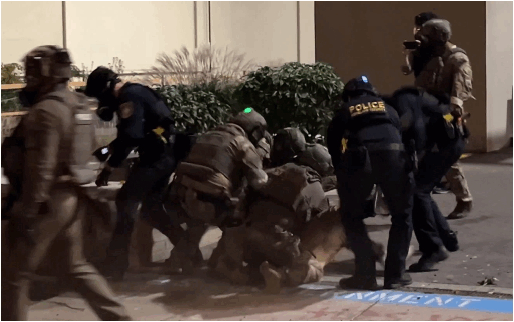 Armed Woman Who Rammed ICE Vehicles Near Chicago Arrested