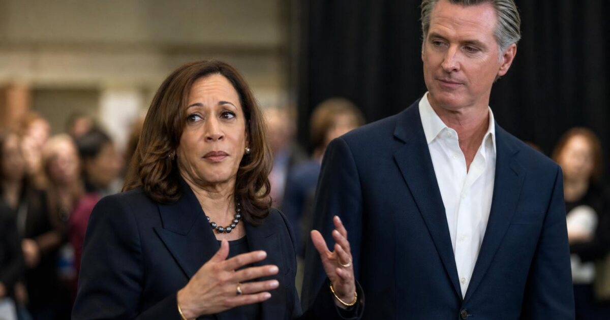 Kamala Harris 2028 Run in Doubt as Aides and Donors Express Skepticism