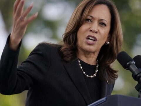 Kamala Harris Calls Noncitizen Voter Roll Removals 'Cheating,' DHS Fires Back