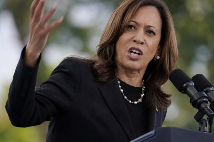 Kamala Harris Calls Noncitizen Voter Roll Removals 'Cheating,' DHS Fires Back