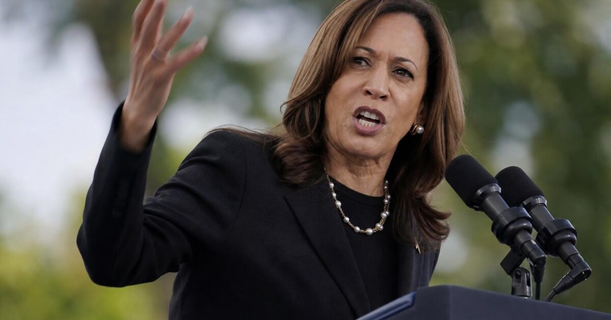 Kamala Harris Calls Noncitizen Voter Roll Removals 'Cheating,' DHS Fires Back