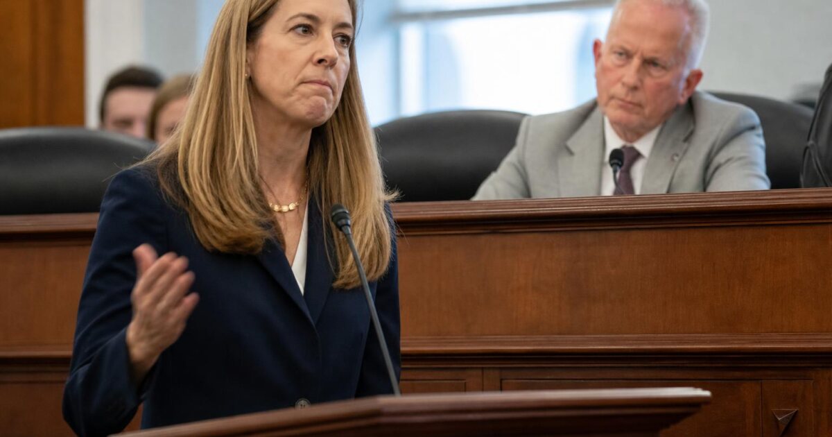 New Jersey Noncitizen Voter Rolls Called 'Tip of the Iceberg' at House Hearing