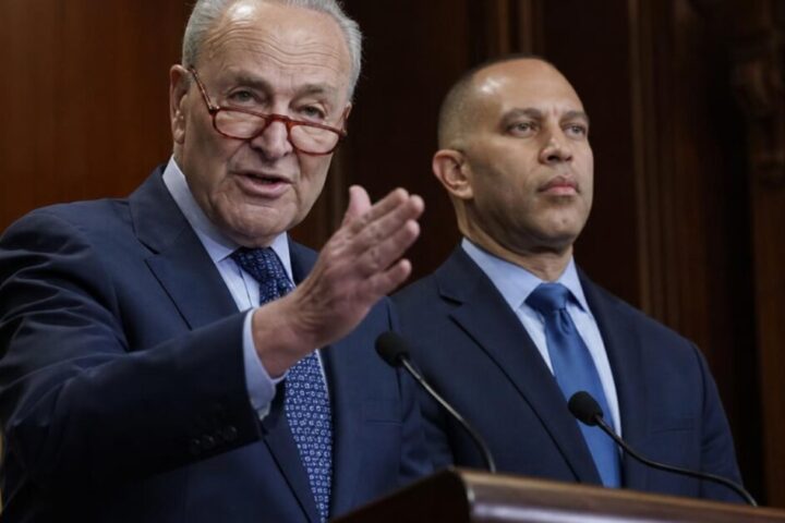 Schumer and Jeffries Sue to Keep Federal Agents Away From Polls