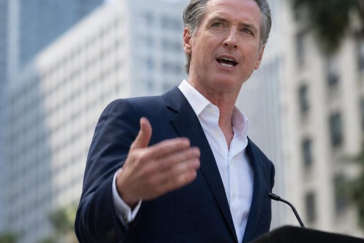 Ninth Circuit Blocks Trump's Push to Pull 20K Suspect Ballots From LA Count
